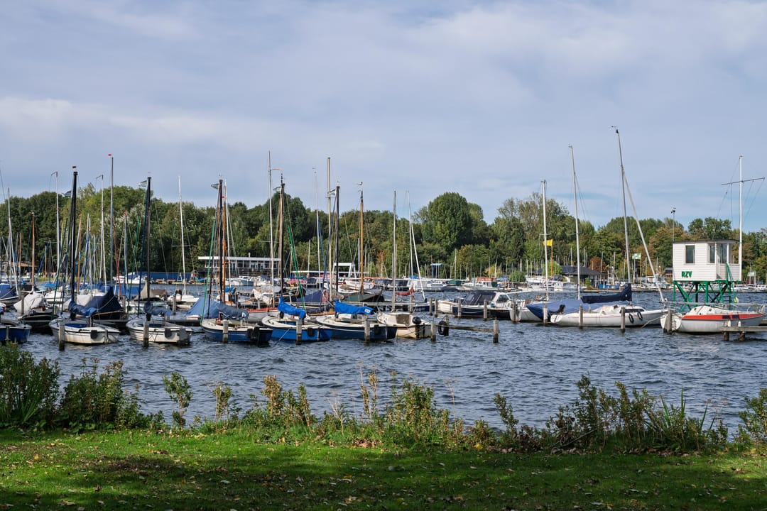 Photo 2 of Kralingse Plaslaan 166