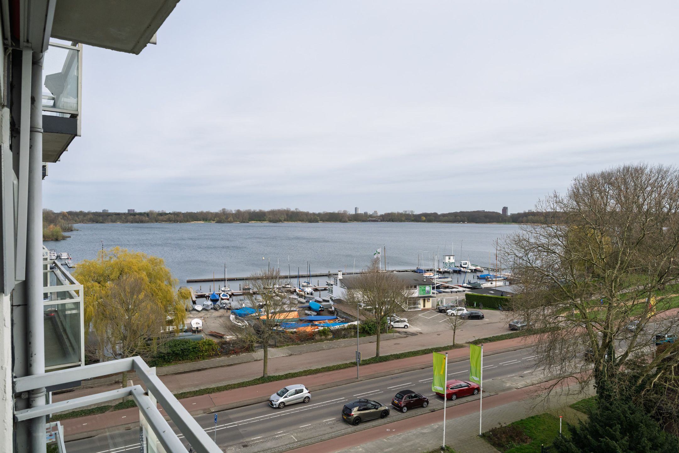 Photo 9 of Kralingse Plaslaan 166