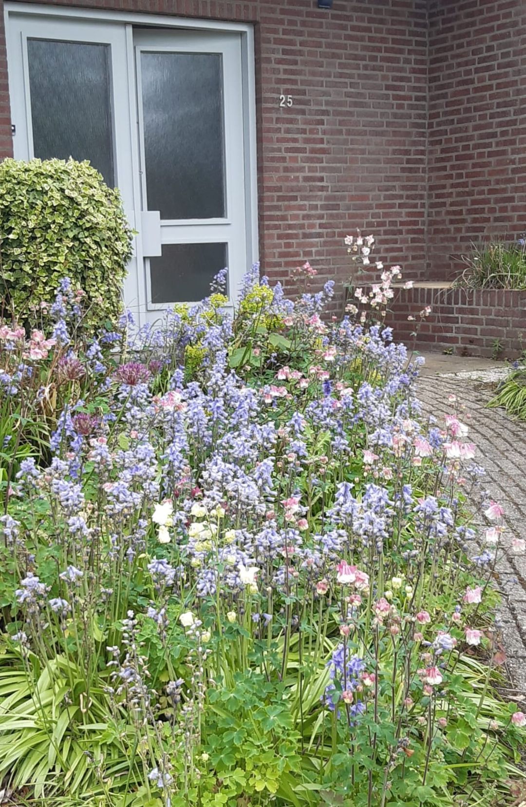 Photo 8 of Schepenstraat 25
