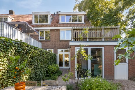 Hart van Brabantlaan thumbnail