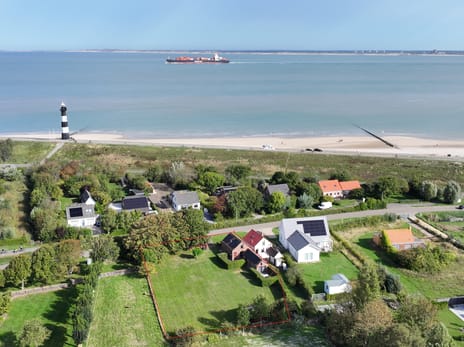 Zandertje thumbnail
