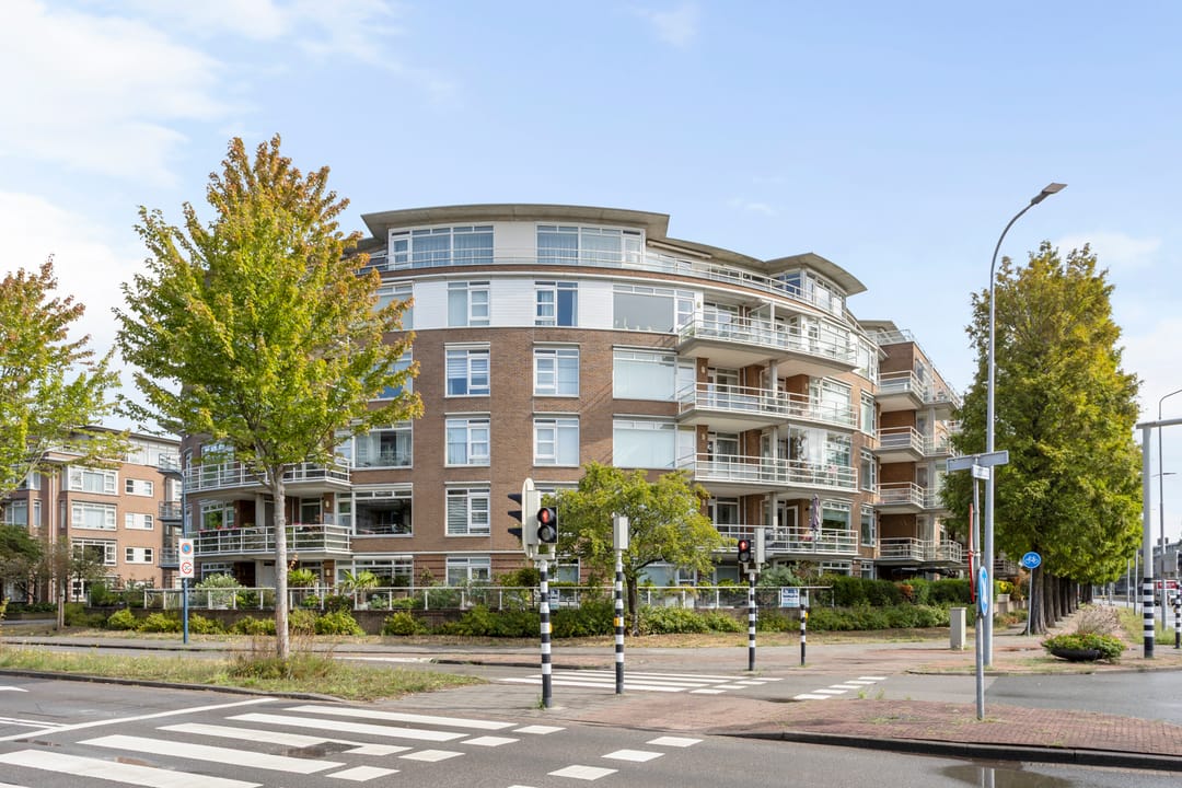 Foto 1 van Buizerdlaan 223
