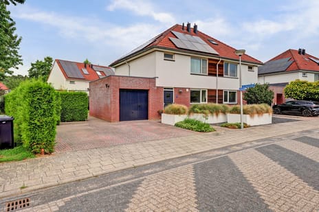 De Magistraat thumbnail