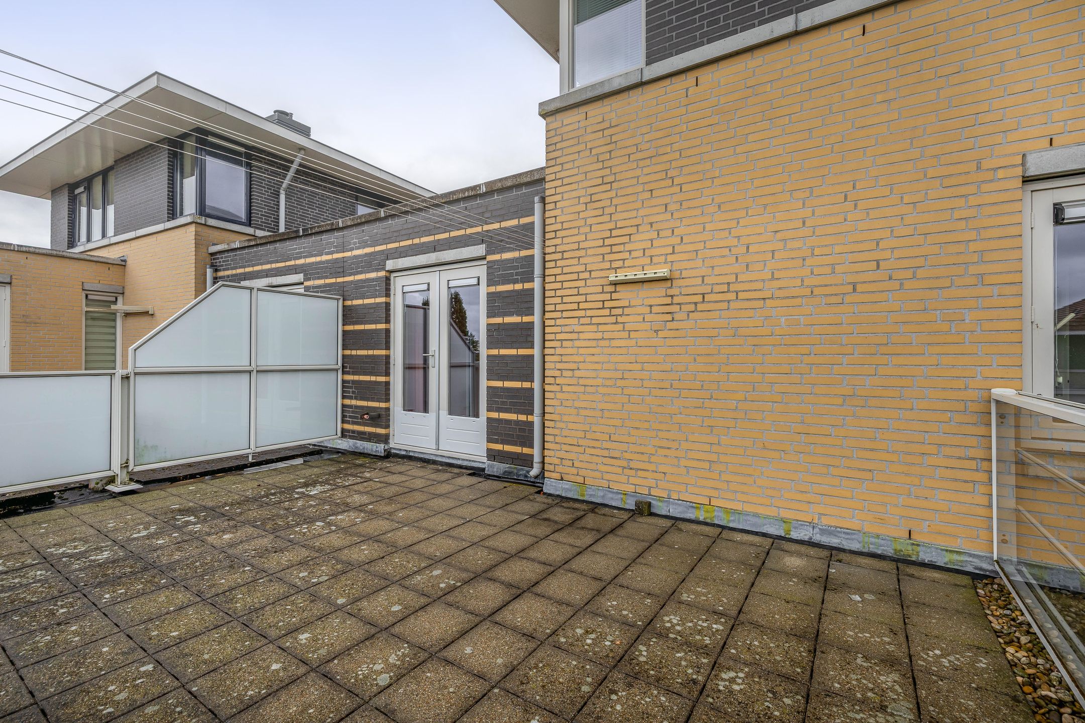 Photo 15 of Rigel 44
