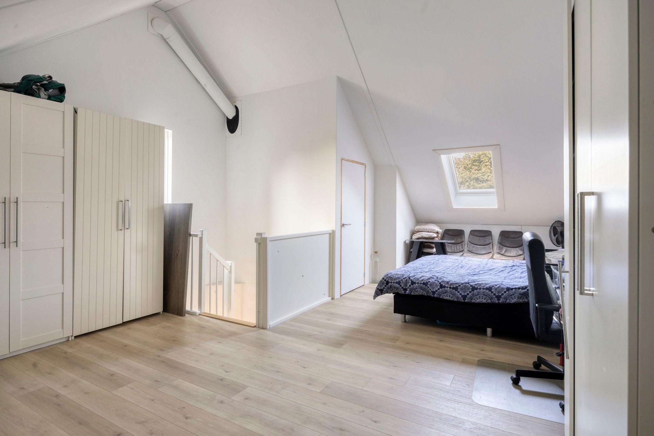 Photo 33 of Blauwborst 26