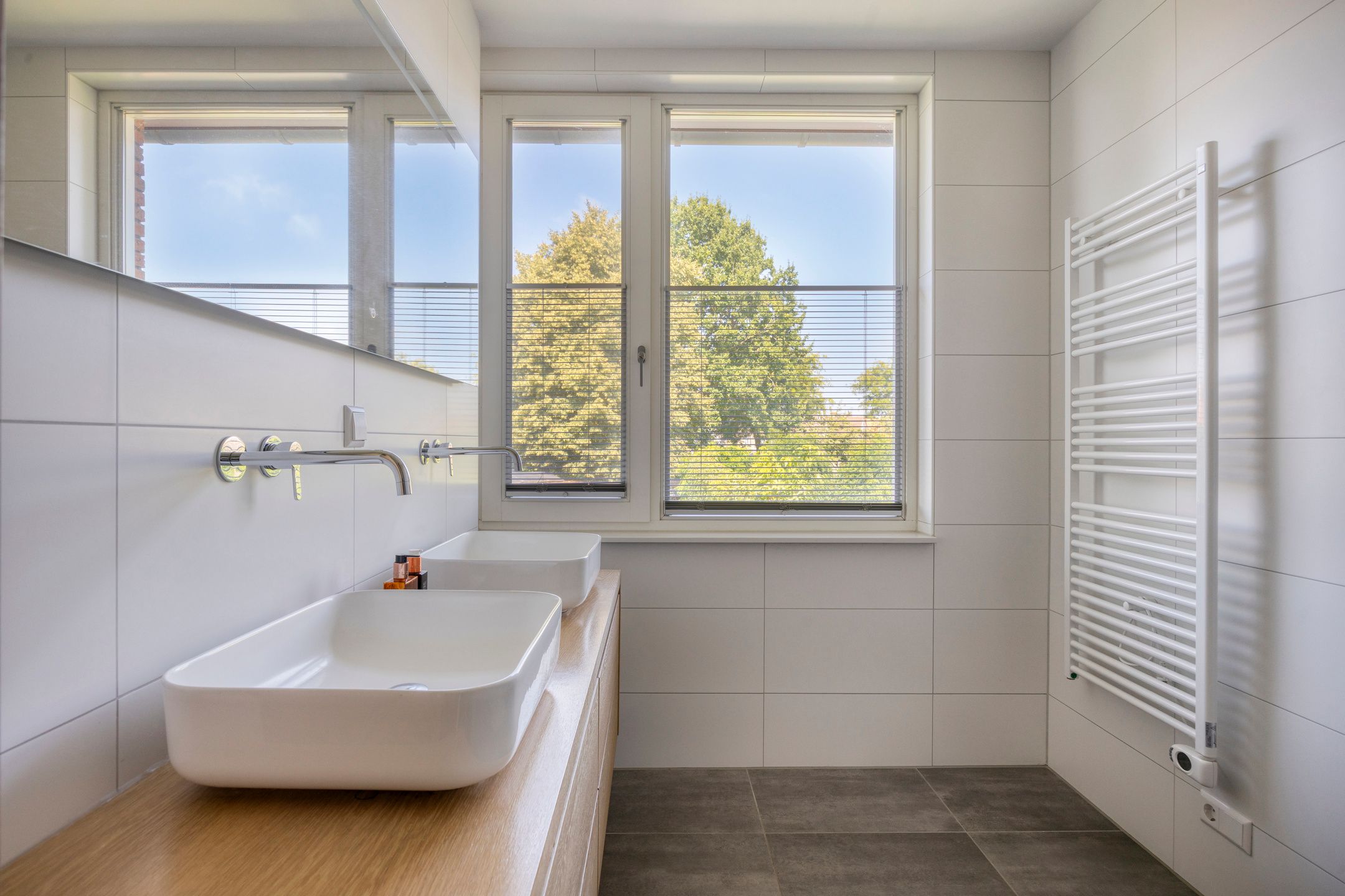 Photo 27 of Blauwborst 26