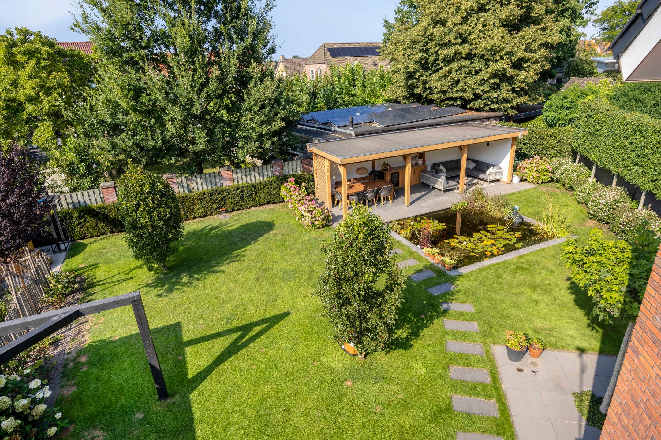 Photo 48 of Blauwborst 26