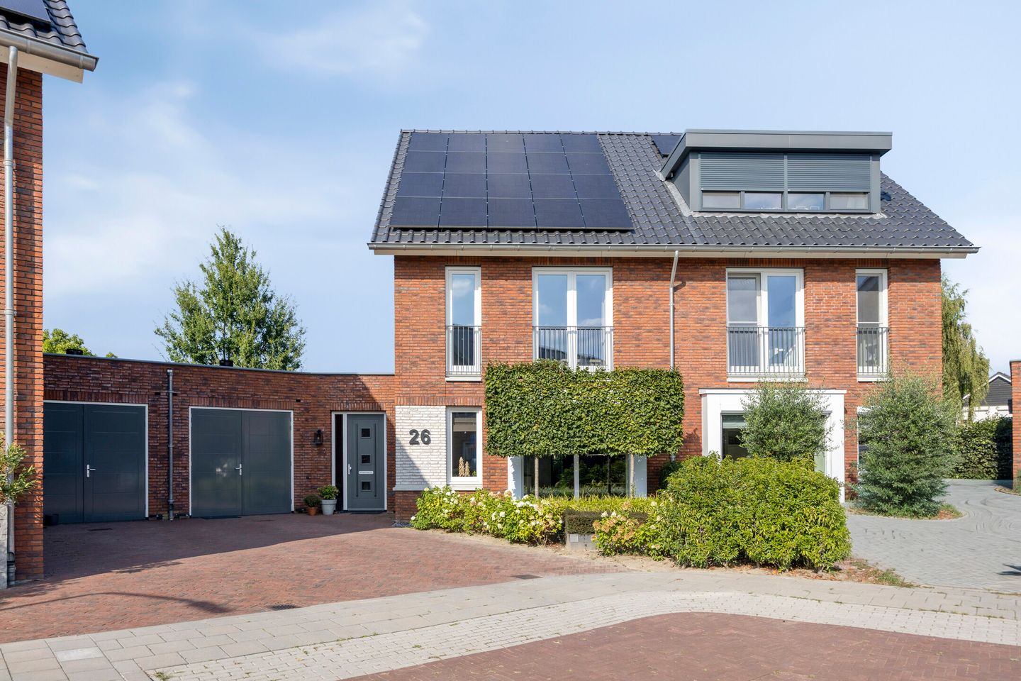 Photo 4 of Blauwborst 26
