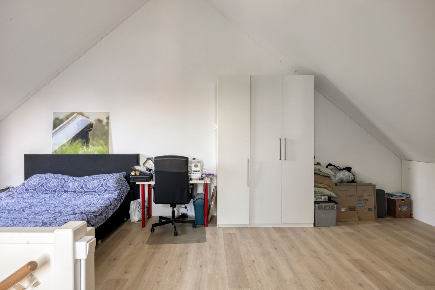 Photo 34 of Blauwborst 26