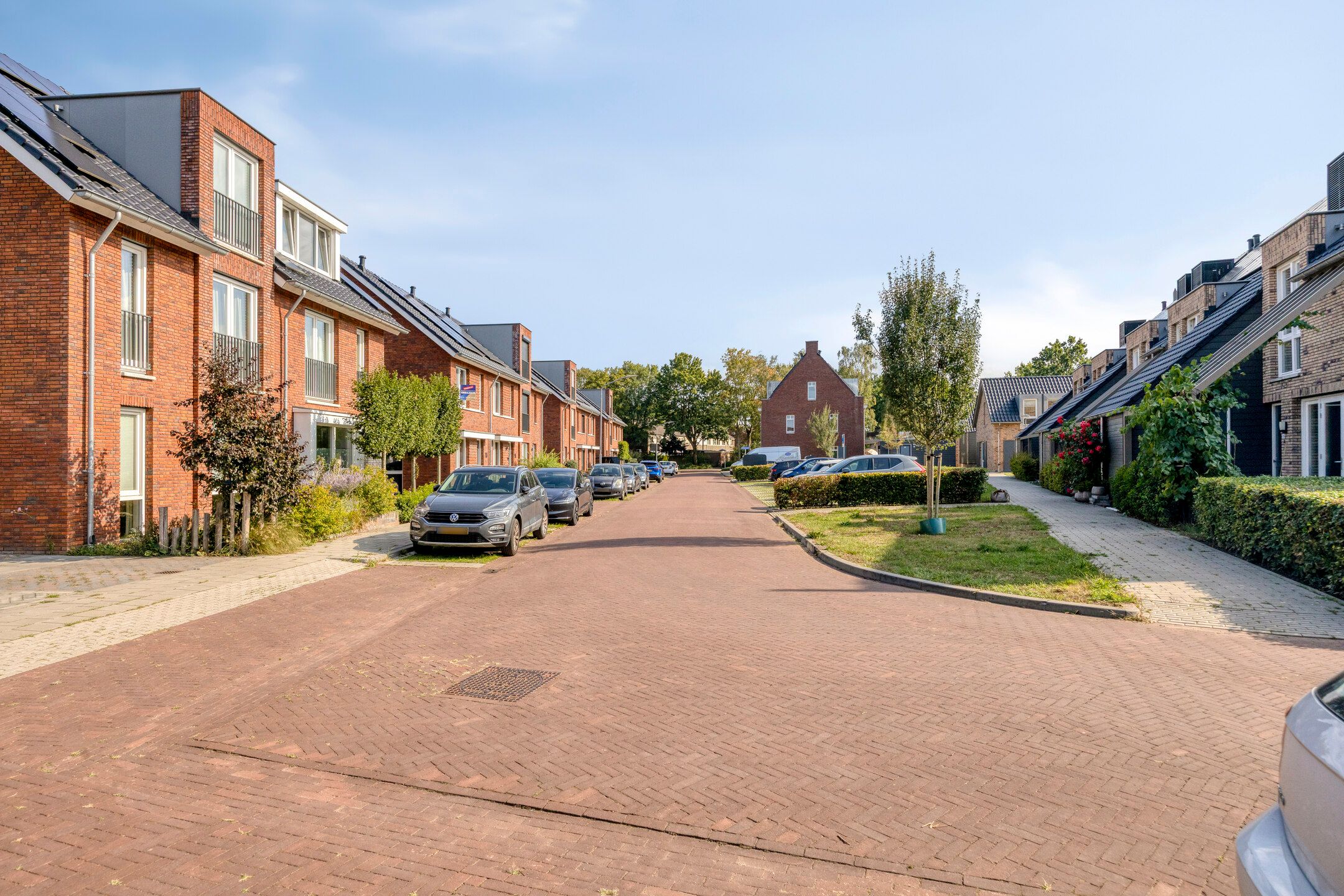 Photo 54 of Blauwborst 26