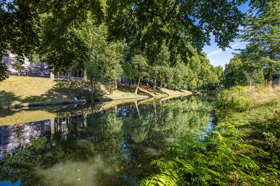 Photo 68 of Maliesingel 50-BS