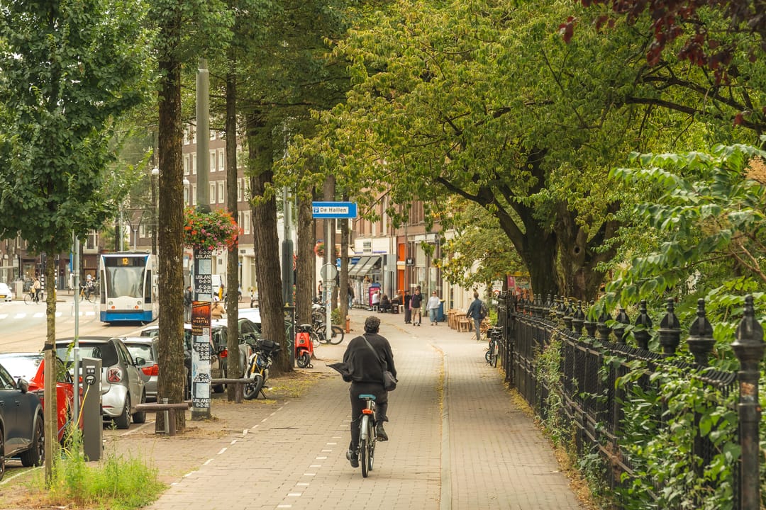 Foto 43 van Van Reigersbergenstraat 55-H