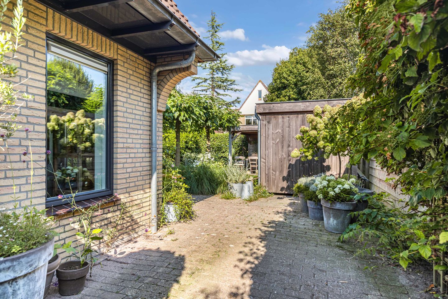 Photo 50 of Koninginnekruid 12