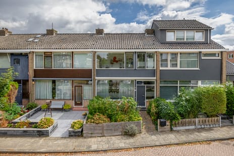 Paulus Potterstraat thumbnail