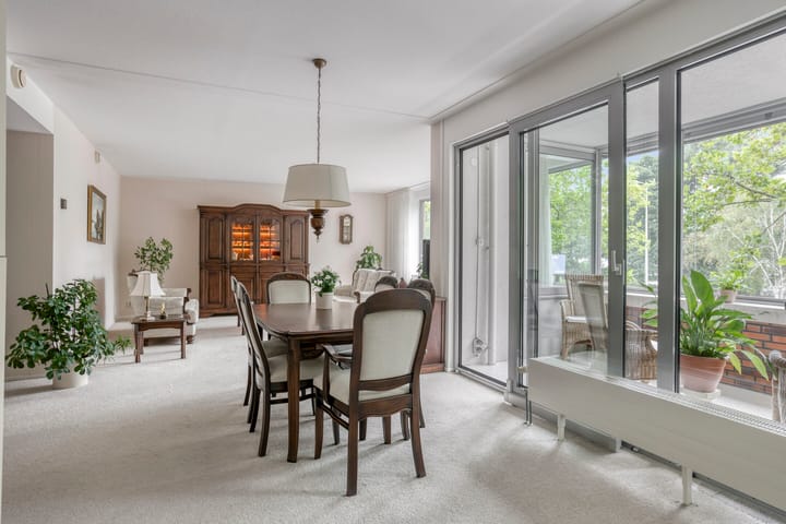 Foto 4 van Laan der Continenten 56