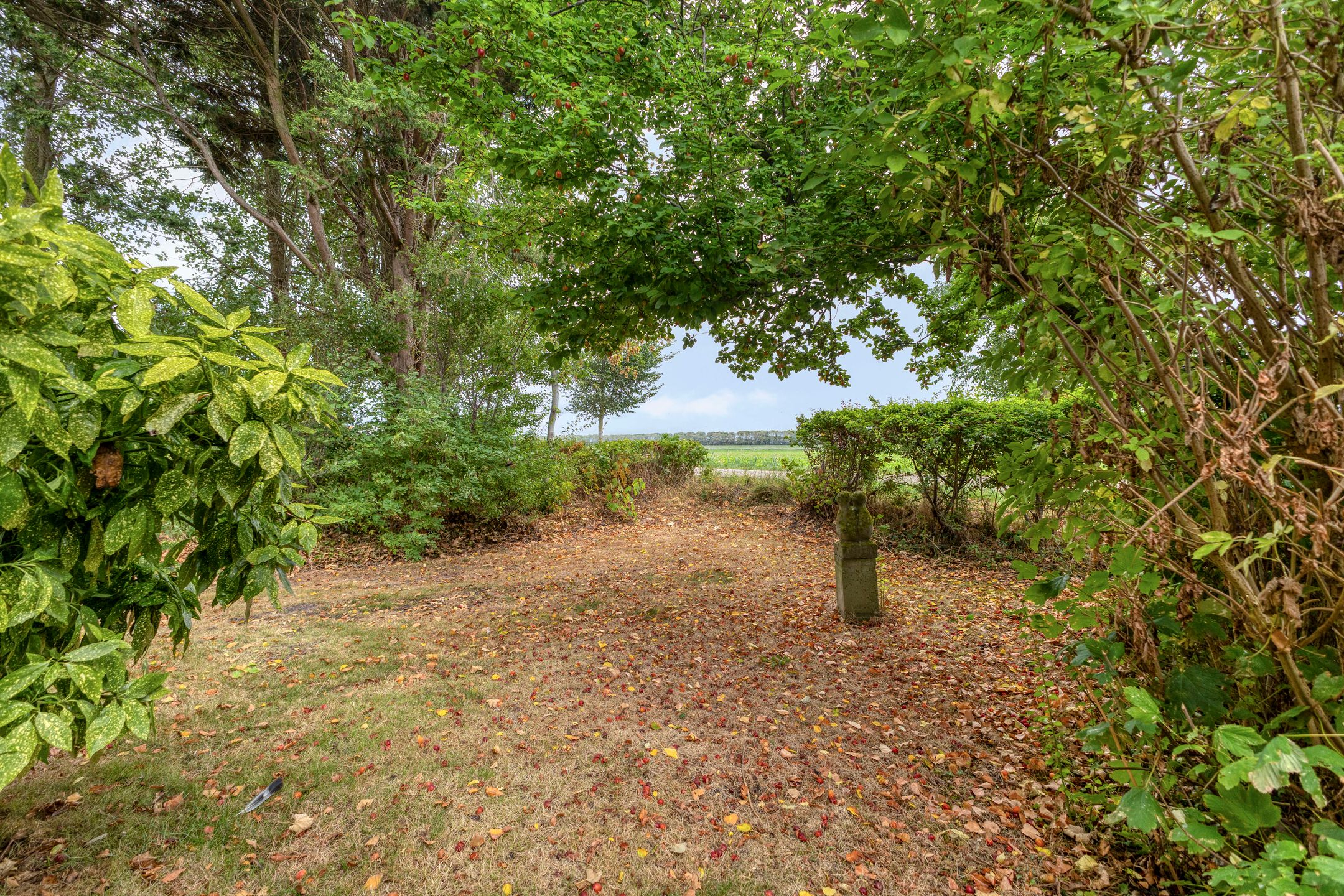 Photo 39 of Lotweg 9