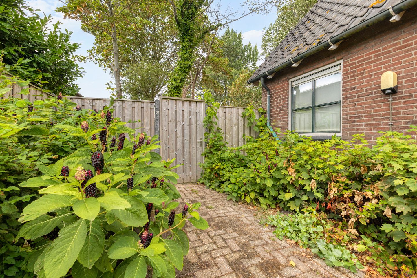 Photo 35 of Lotweg 9