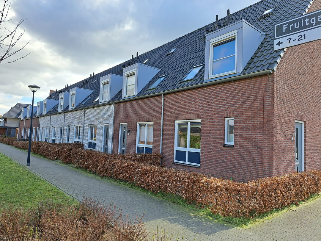 Foto 1 van Pruimelaar 22