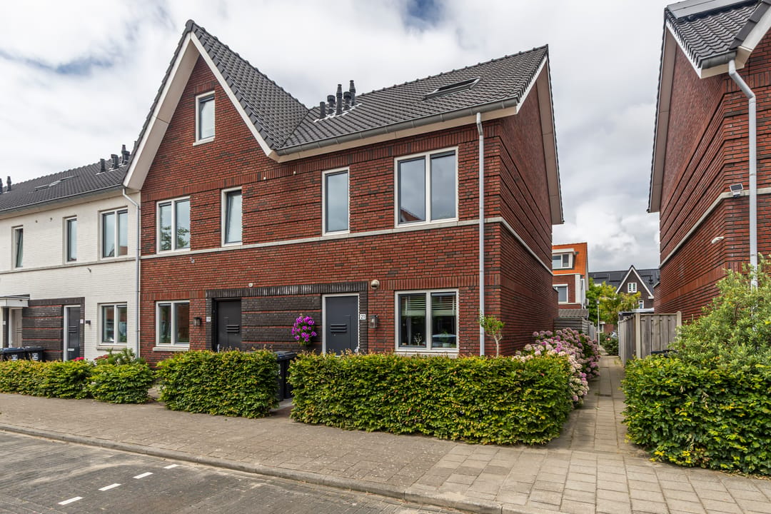 Foto 1 van Vuurvlinder 21