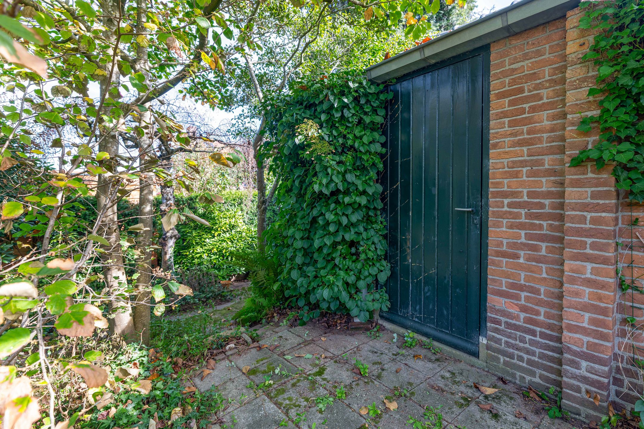 Photo 45 of Ritzema Bosweg 63