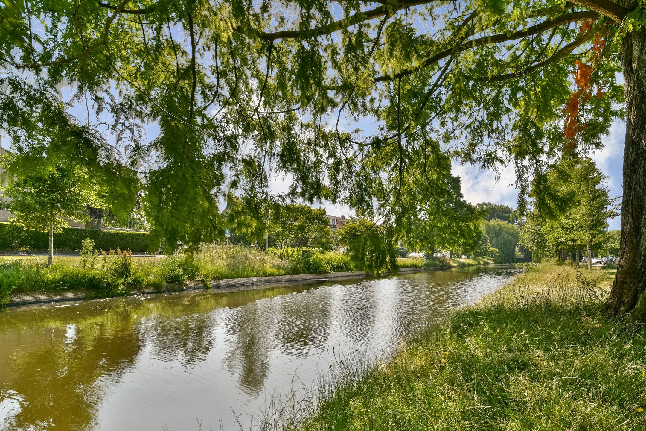 Photo 27 of Wilgenlaan 11