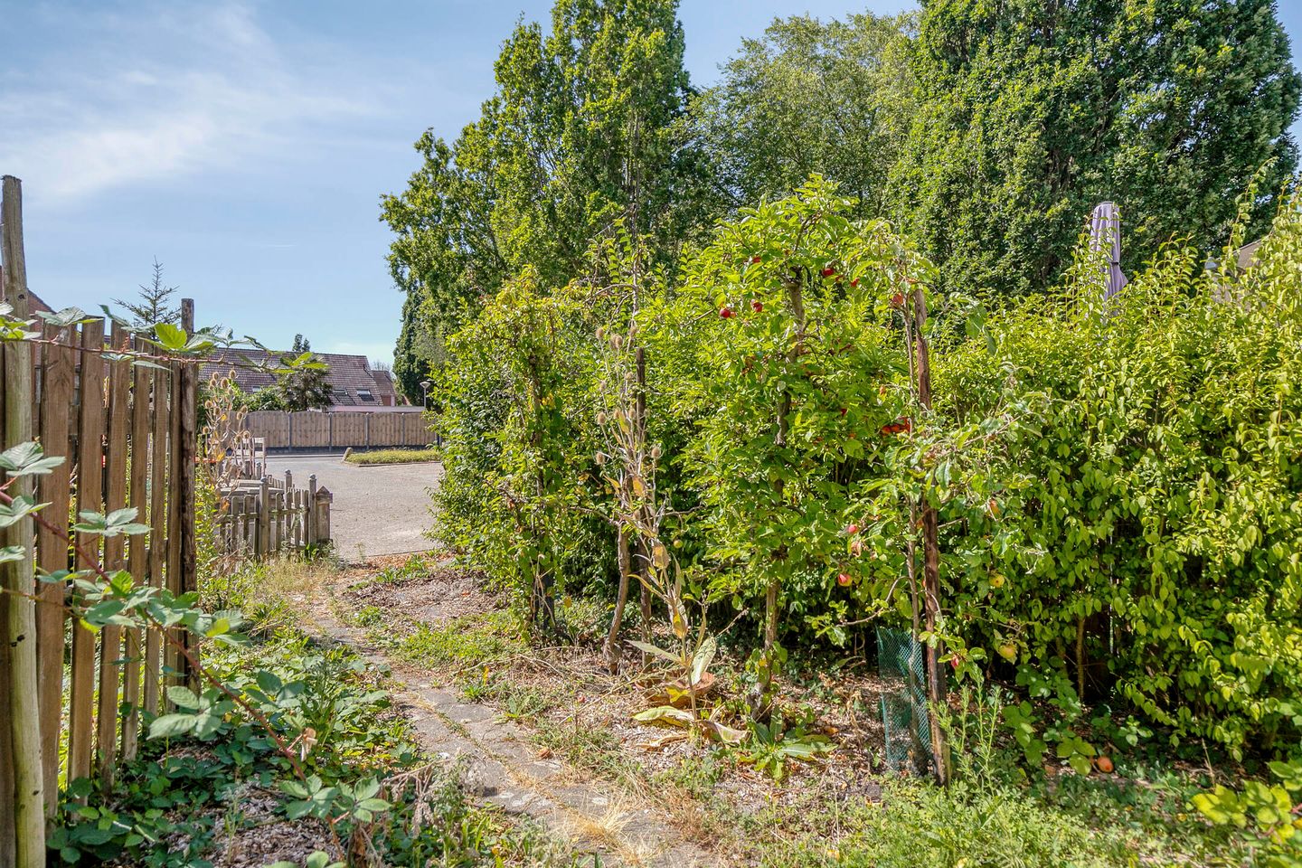 Photo 10 of Batenburg 78
