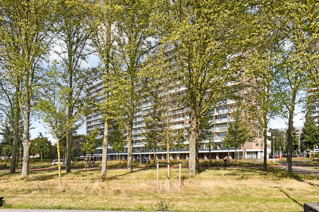 Photo 23 of Burgemeester Hogguerstraat 685