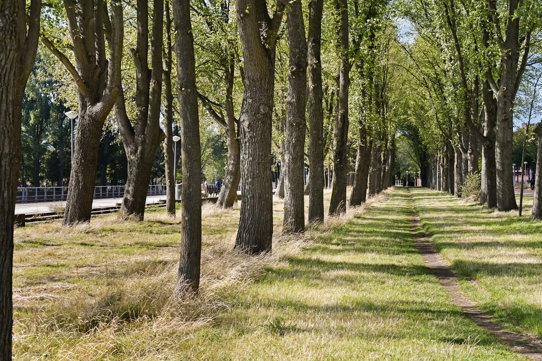 Photo 26 of Burgemeester Hogguerstraat 685
