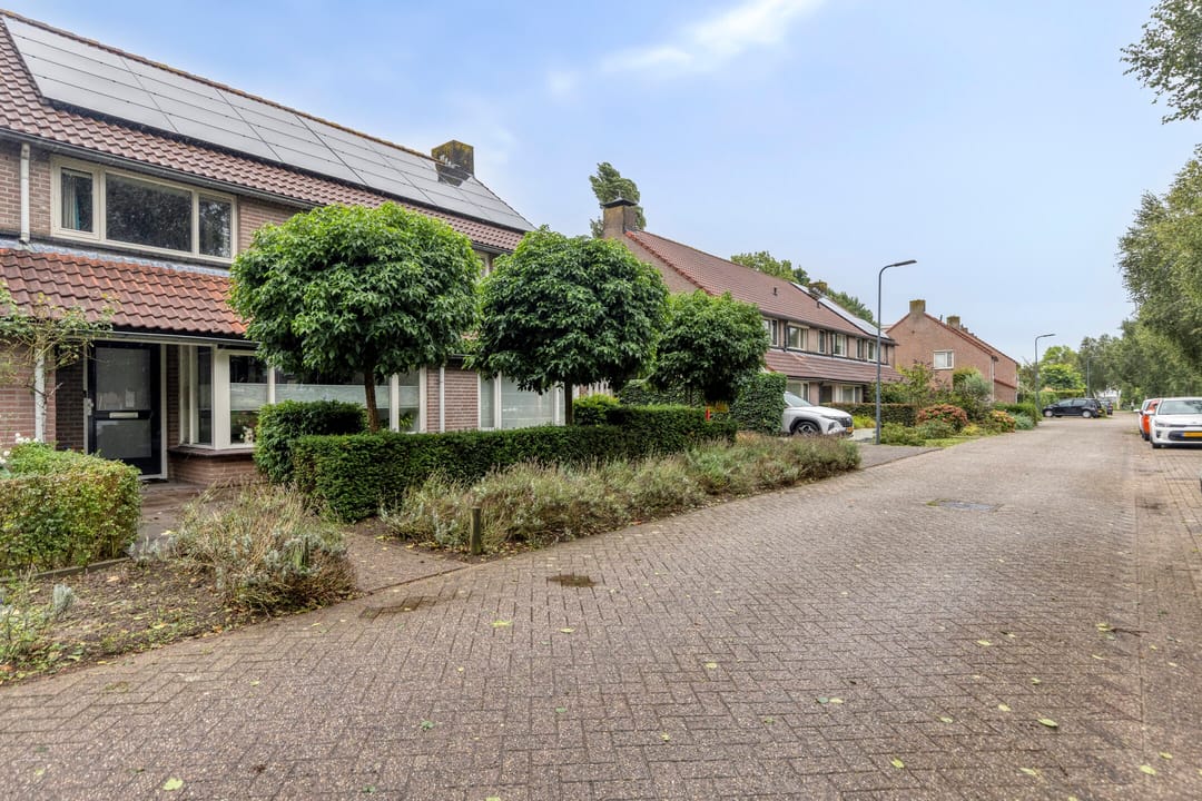 Photo 31 of Goudplevier 31