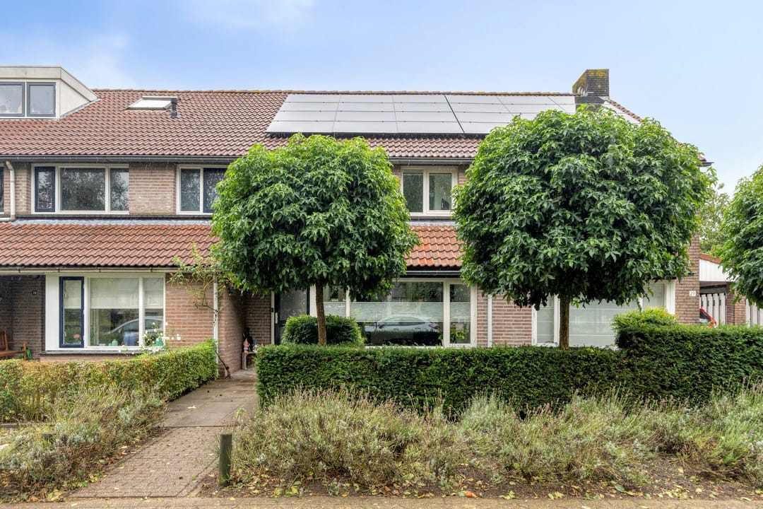 Photo 32 of Goudplevier 31