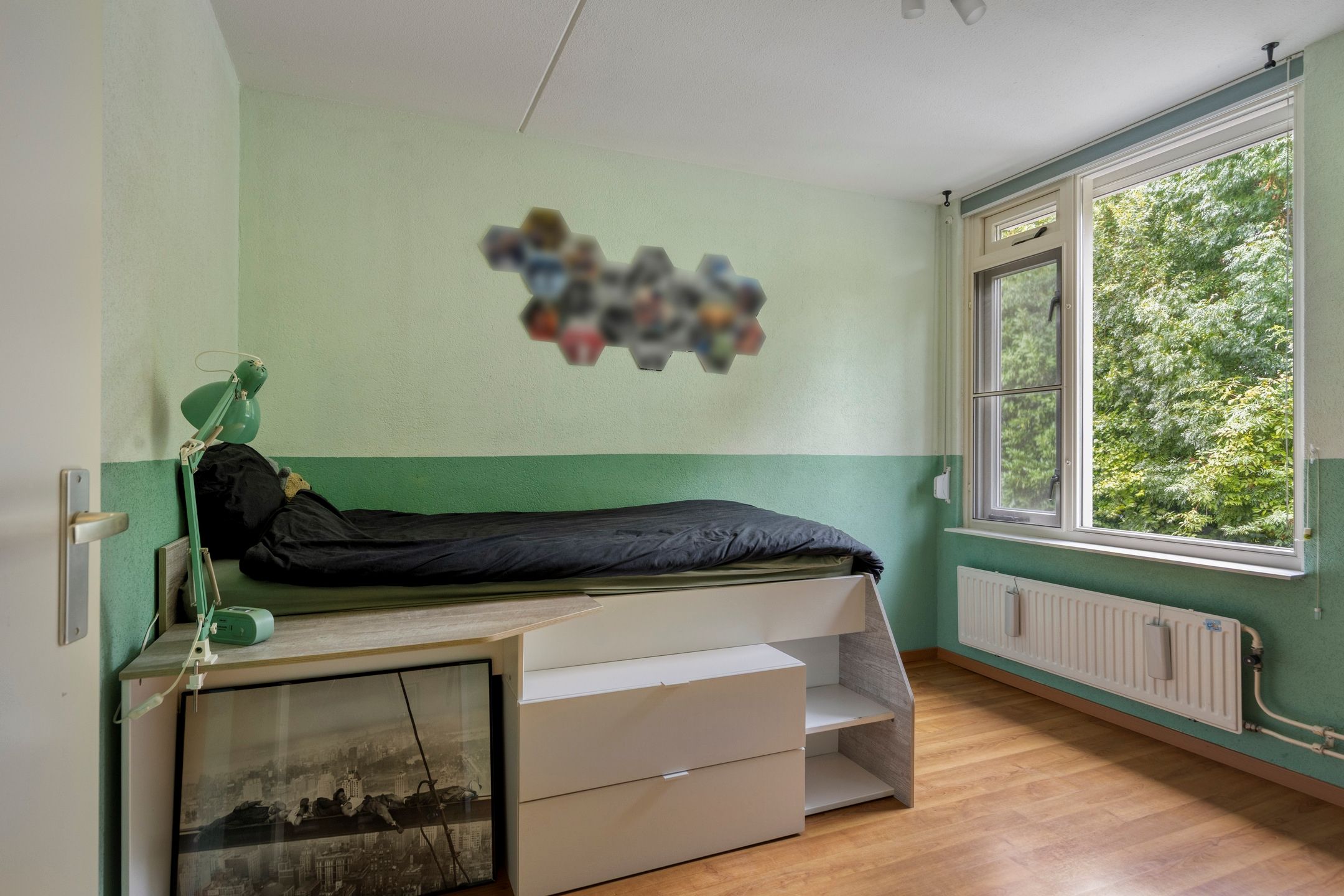 Photo 24 of Goudplevier 31