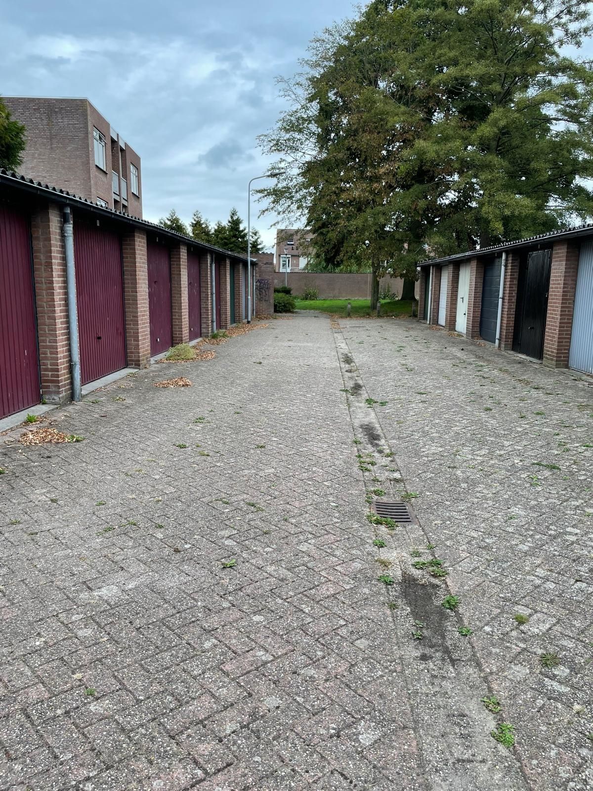 Foto 3 van Tholensstraat 46-G24