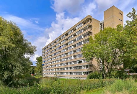 Rijnbeekstraat thumbnail