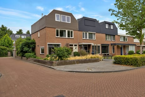 Jan Frankenstraat thumbnail