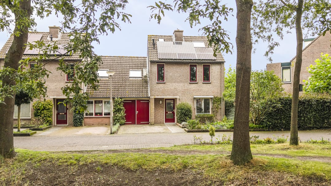 Foto 1 van Agaatvlinder 18