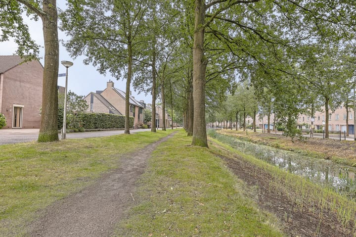Foto 3 van Agaatvlinder 18