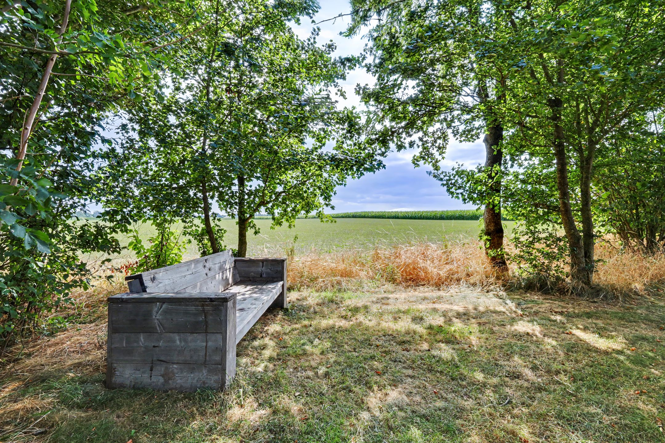 Photo 90 of Bakermarksedijk 8