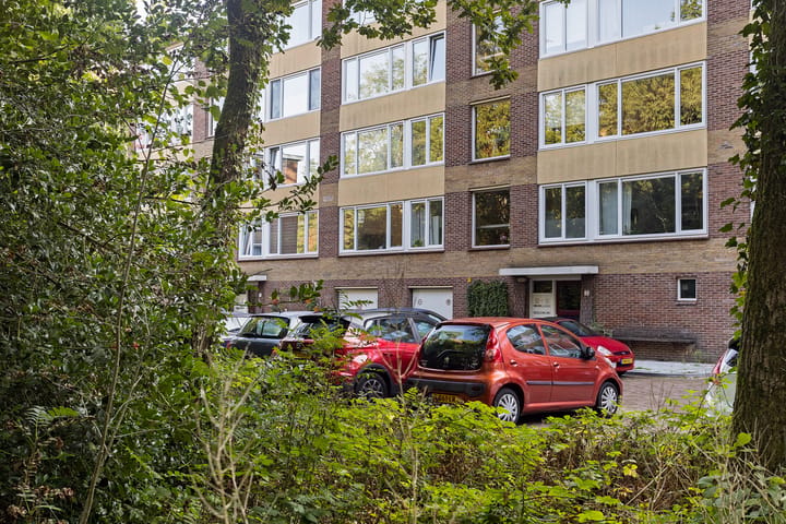 Foto 4 van Plesmanstraat 273