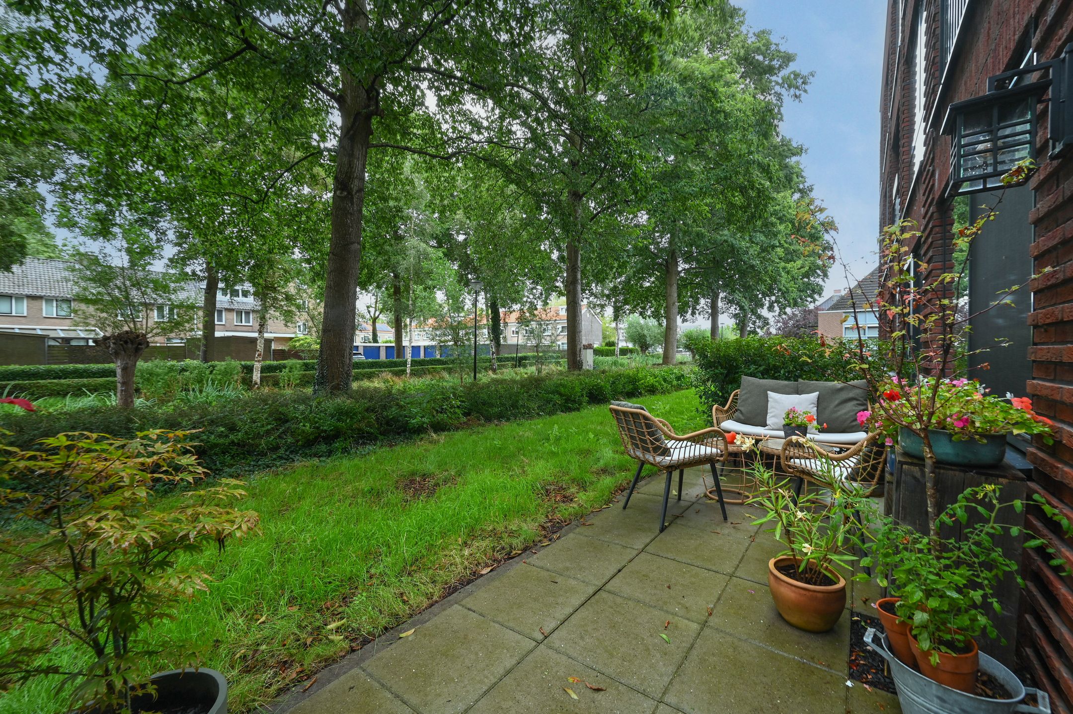 Photo 21 of Ooievaar 6
