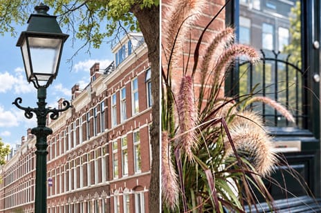 Obrechtstraat thumbnail