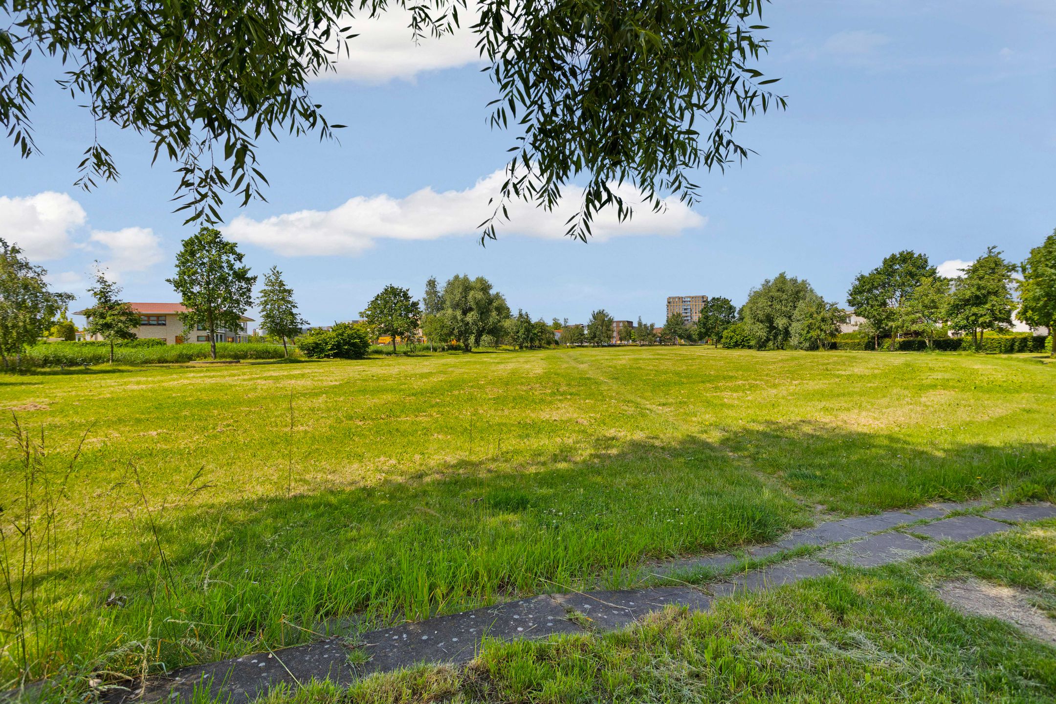 Photo 66 of Minervasingel 30