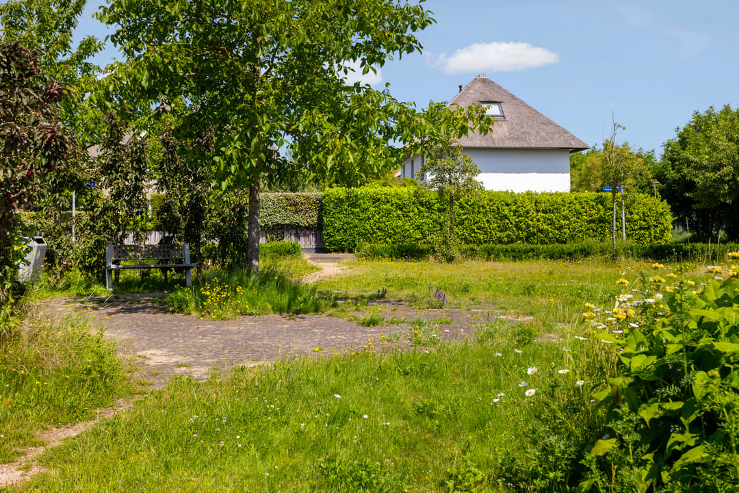 Photo 68 of Minervasingel 30