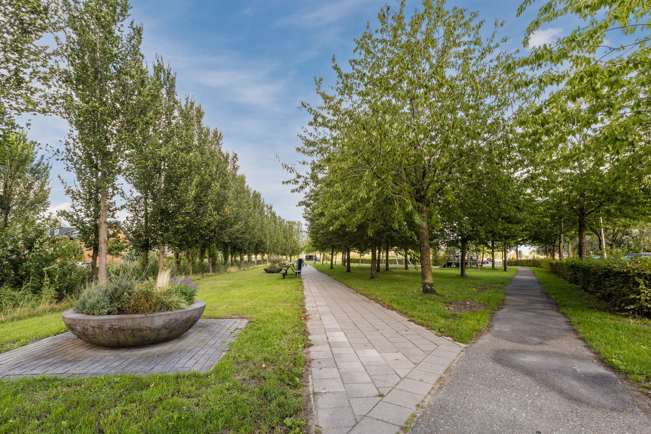 Photo 84 of Pastoraleperenlaan 22