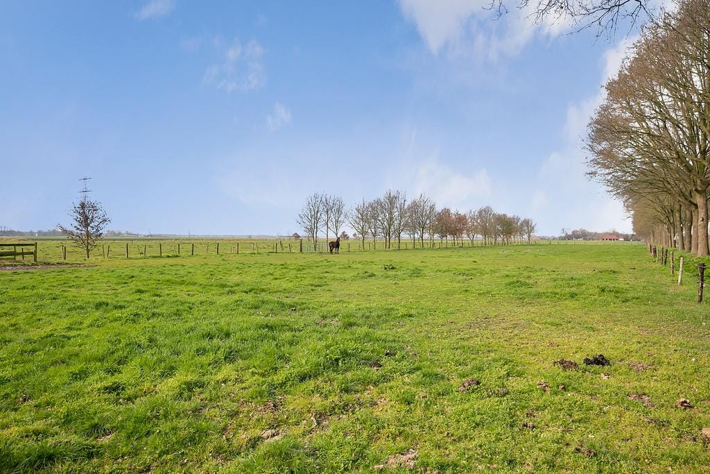 Foto 40 van Stegerensallee 23