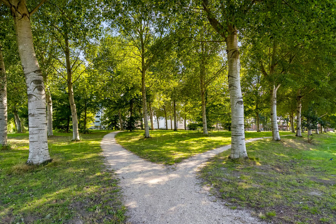 Photo 52 of Jacob van Maerlantstraat 56