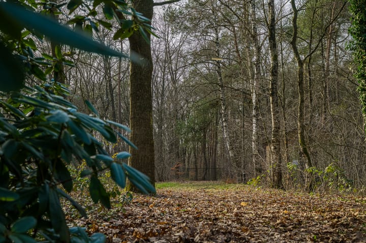 Woning te koop: Kuiltjesweg 39B, Beekbergen