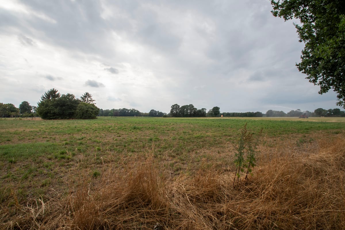 Photo 18 of Heijerveld 14