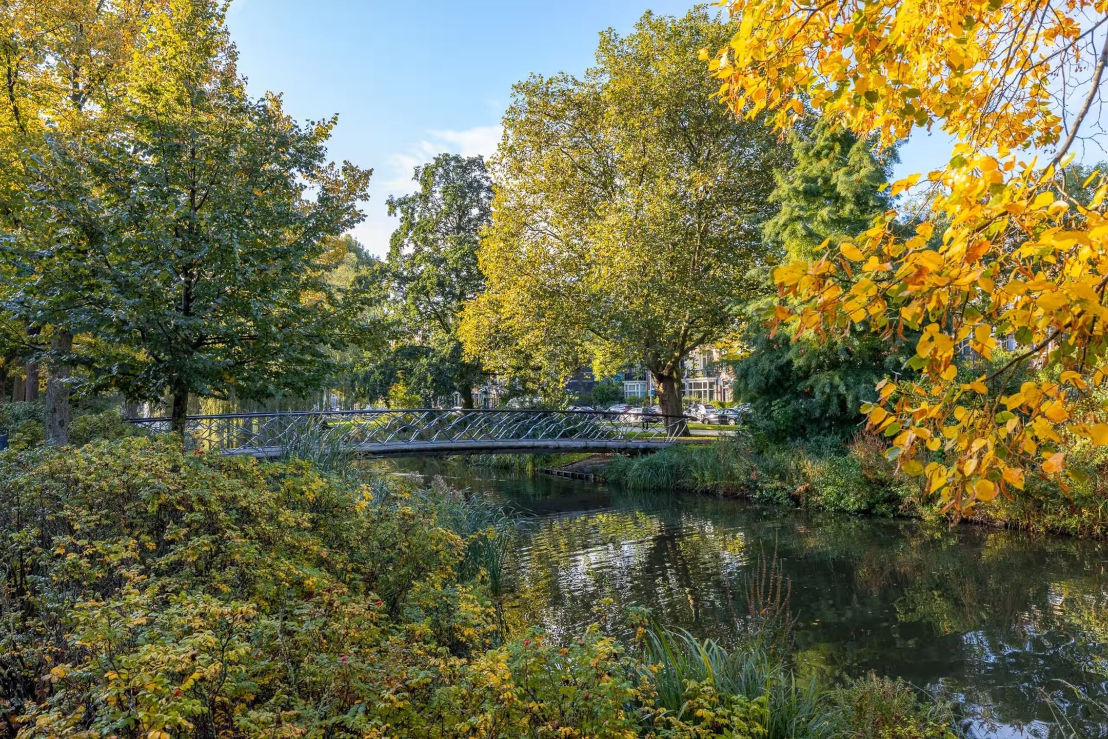 Foto 15 van Spoorsingel 59-B01
