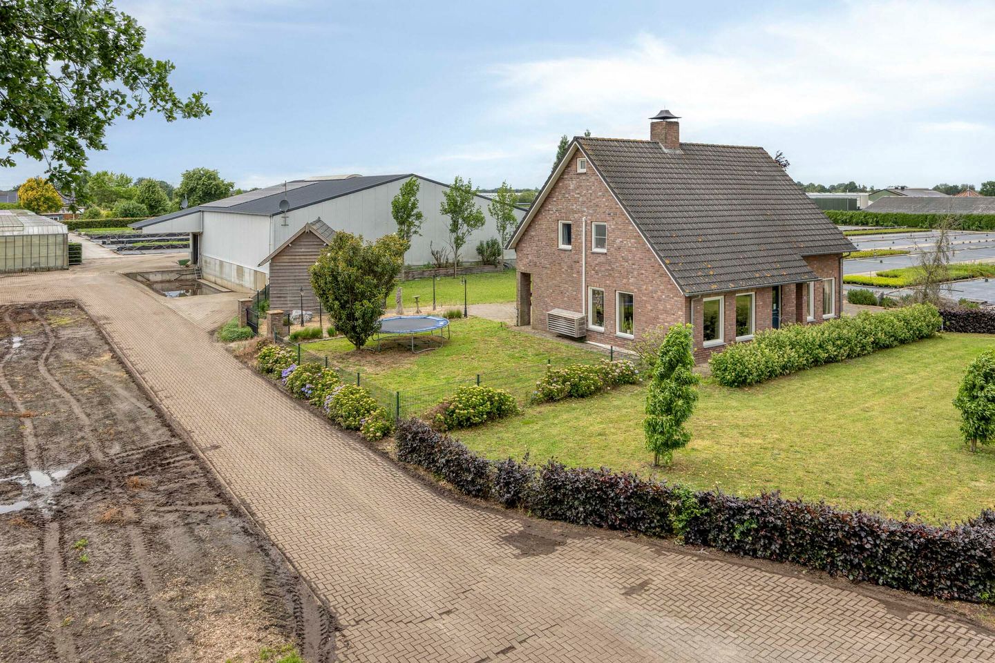 Hoogheide 10 - Lottum - Afbeelding 3