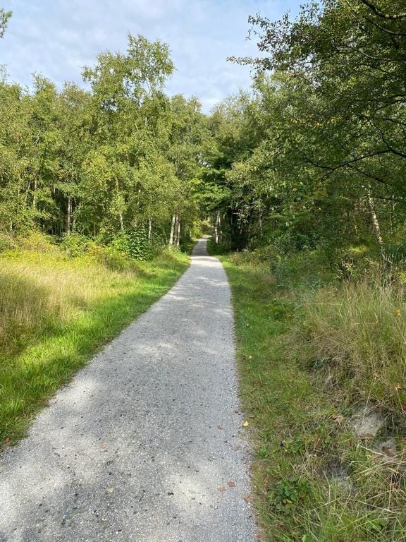 Photo 21 of Badweg 67-34